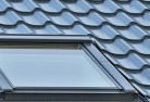 Forestskylight-replacements.jpg; ?>